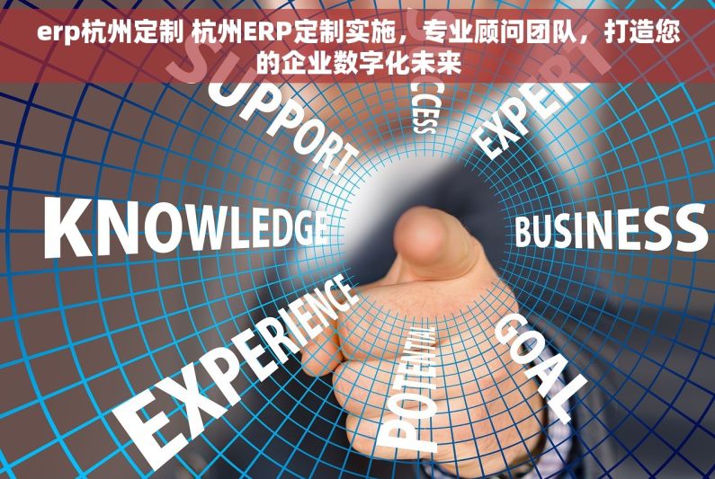 erp杭州定制 杭州ERP定制实施，专业顾问团队，打造您的企业数字化未来
