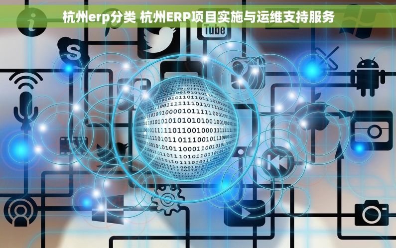 杭州erp分类 杭州ERP项目实施与运维支持服务