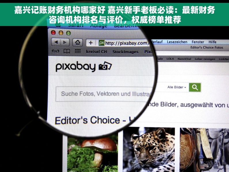 嘉兴记账财务机构哪家好 嘉兴新手老板必读：最新财务咨询机构排名与评价，权威榜单推荐