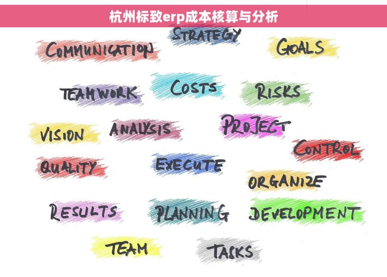 杭州标致erp成本核算与分析