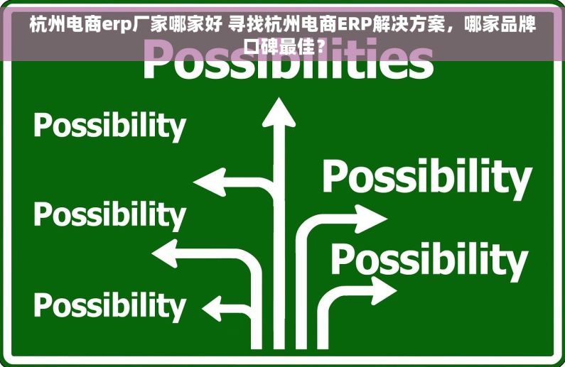杭州电商erp厂家哪家好 寻找杭州电商ERP解决方案，哪家品牌口碑最佳？