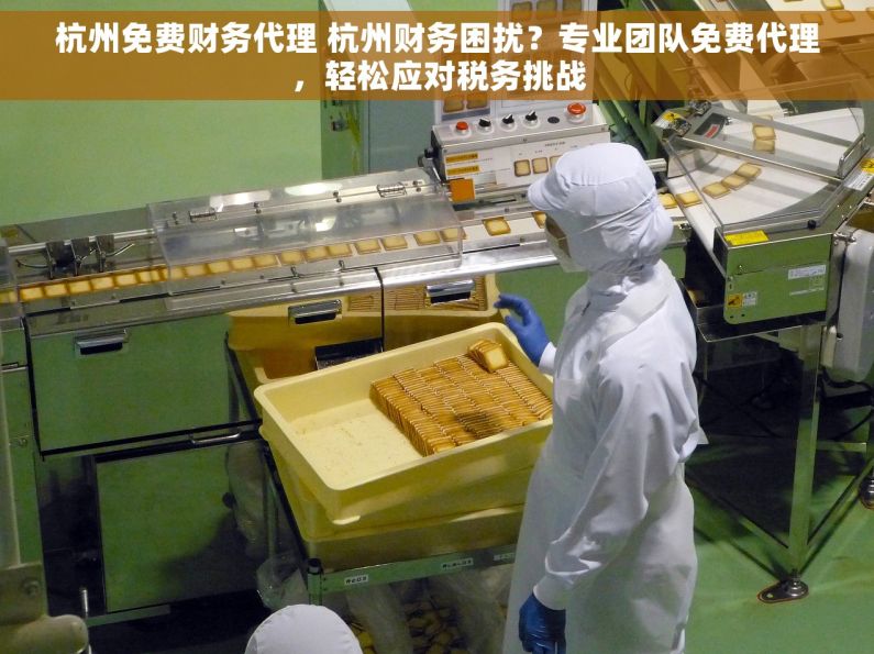 杭州免费财务代理 杭州财务困扰？专业团队免费代理，轻松应对税务挑战