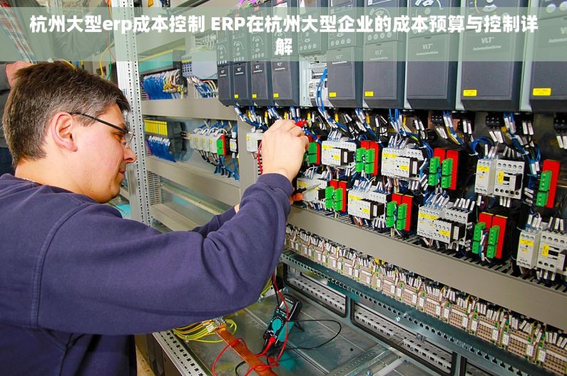 杭州大型erp成本控制 ERP在杭州大型企业的成本预算与控制详解