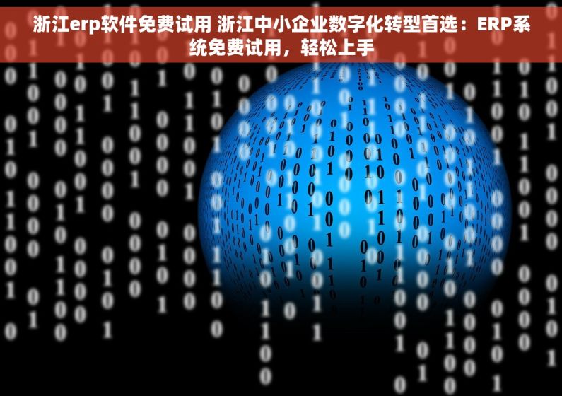 浙江erp软件免费试用 浙江中小企业数字化转型首选：ERP系统免费试用，轻松上手