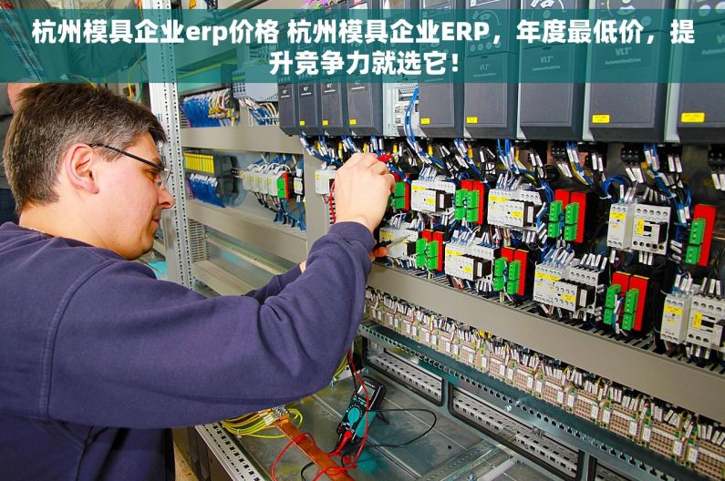 杭州模具企业erp价格 杭州模具企业ERP，年度最低价，提升竞争力就选它！