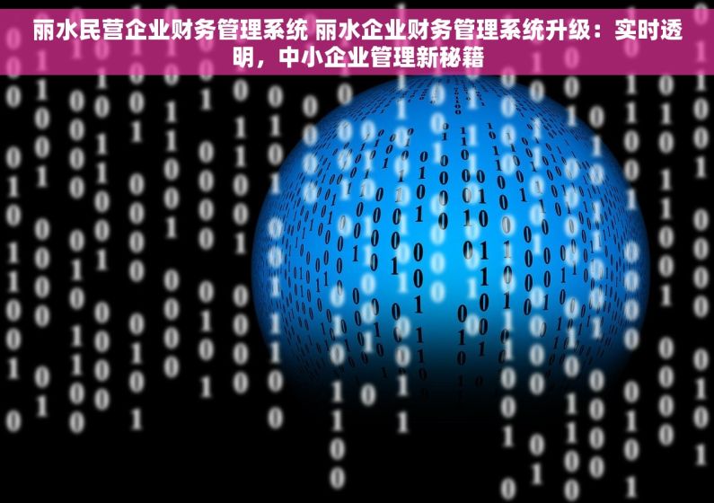 丽水民营企业财务管理系统 丽水企业财务管理系统升级：实时透明，中小企业管理新秘籍