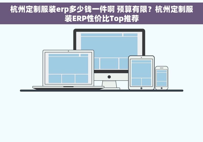 杭州定制服装erp多少钱一件啊 预算有限？杭州定制服装ERP性价比Top推荐