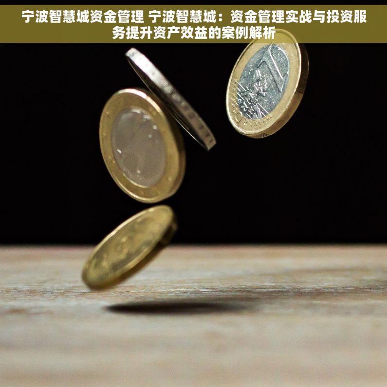 宁波智慧城资金管理 宁波智慧城：资金管理实战与投资服务提升资产效益的案例解析