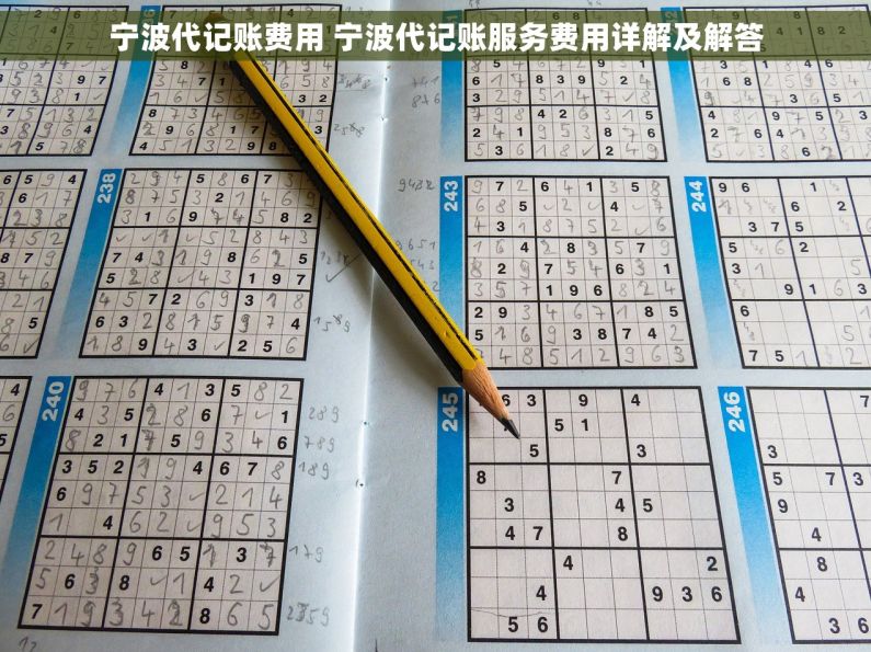 宁波代记账费用 宁波代记账服务费用详解及解答