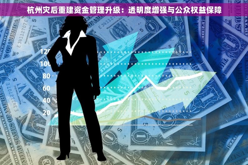 杭州灾后重建资金管理升级：透明度增强与公众权益保障