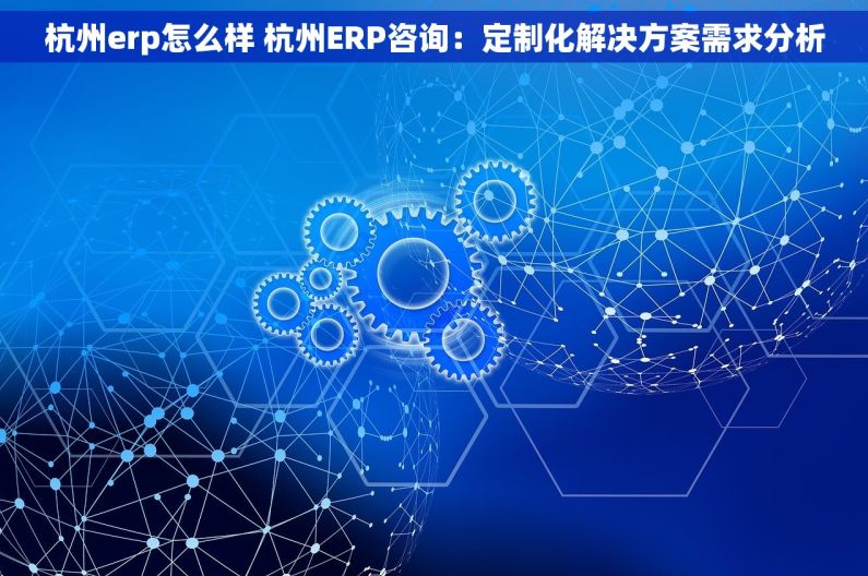 杭州erp怎么样 杭州ERP咨询：定制化解决方案需求分析