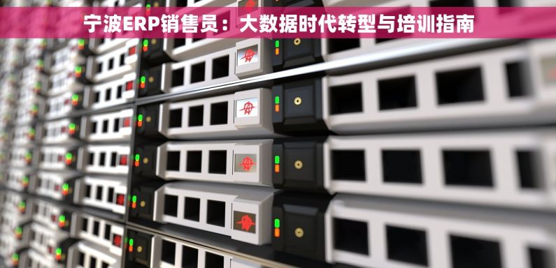 宁波ERP销售员：大数据时代转型与培训指南