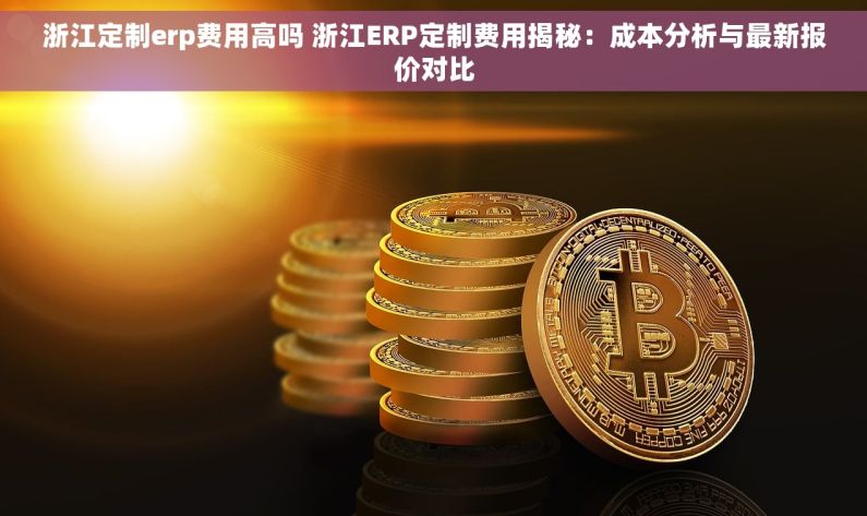 浙江定制erp费用高吗 浙江ERP定制费用揭秘：成本分析与最新报价对比
