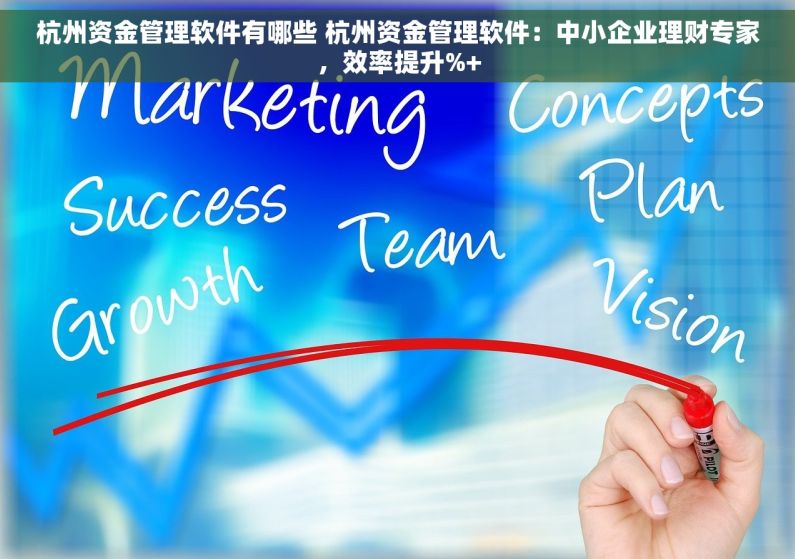 杭州资金管理软件有哪些 杭州资金管理软件：中小企业理财专家，效率提升%+