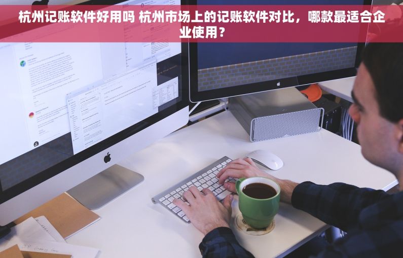 杭州记账软件好用吗 杭州市场上的记账软件对比，哪款最适合企业使用？