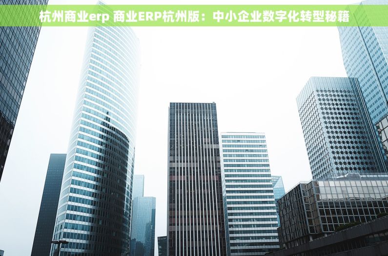 杭州商业erp 商业ERP杭州版：中小企业数字化转型秘籍