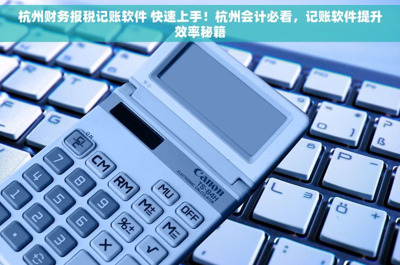 杭州财务报税记账软件 快速上手！杭州会计必看，记账软件提升效率秘籍