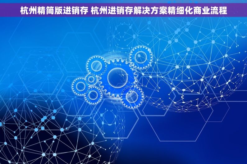 杭州精简版进销存 杭州进销存解决方案精细化商业流程