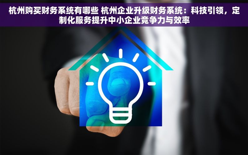 杭州购买财务系统有哪些 杭州企业升级财务系统：科技引领，定制化服务提升中小企业竞争力与效率
