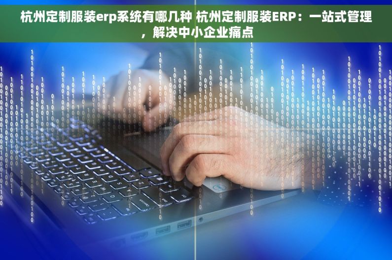 杭州定制服装erp系统有哪几种 杭州定制服装ERP：一站式管理，解决中小企业痛点