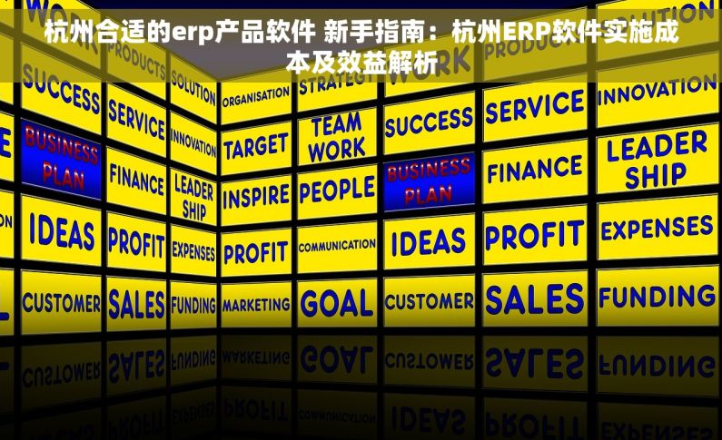 杭州合适的erp产品软件 新手指南：杭州ERP软件实施成本及效益解析