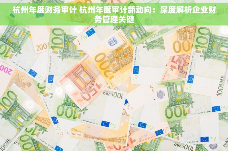 杭州年度财务审计 杭州年度审计新动向：深度解析企业财务管理关键
