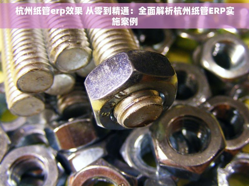 杭州纸管erp效果 从零到精通：全面解析杭州纸管ERP实施案例