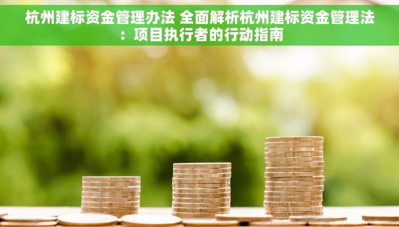 杭州建标资金管理办法 全面解析杭州建标资金管理法：项目执行者的行动指南