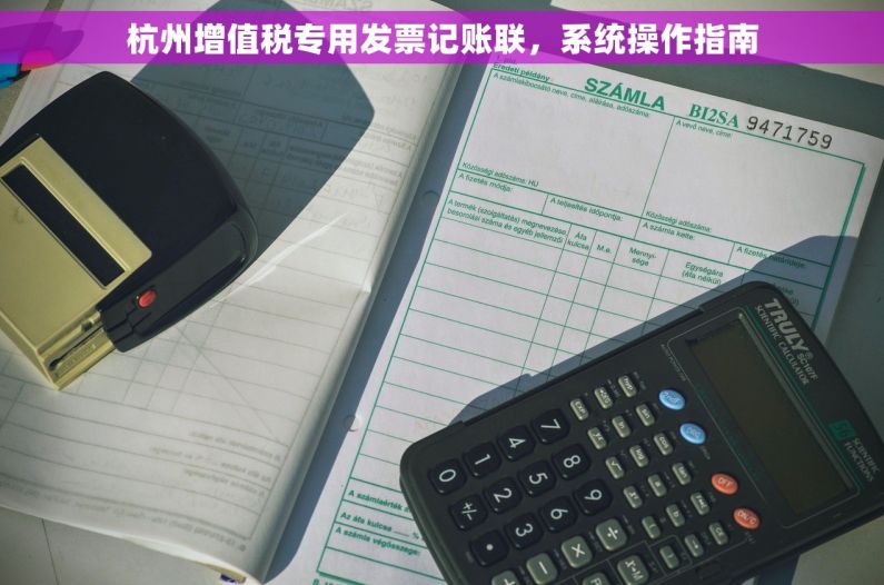 杭州增值税专用发票记账联，系统操作指南