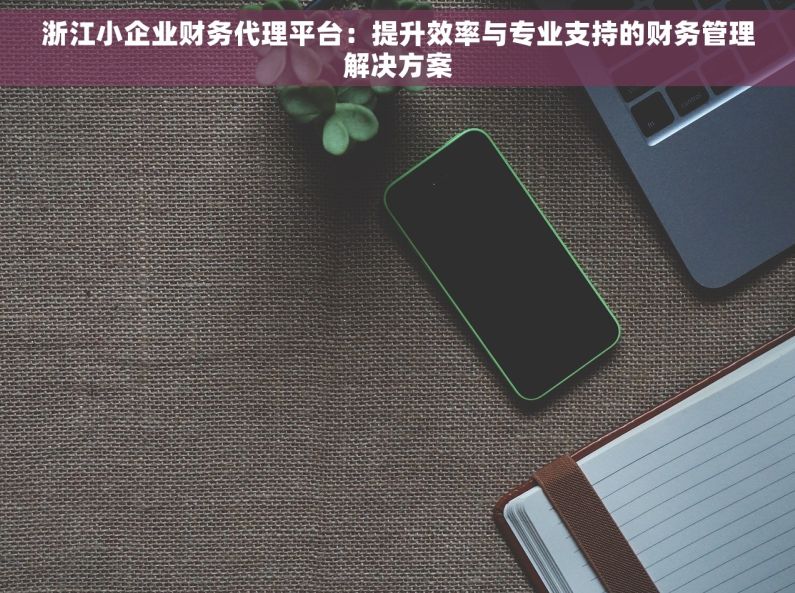 浙江小企业财务代理平台：提升效率与专业支持的财务管理解决方案
