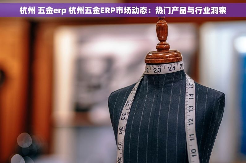 杭州 五金erp 杭州五金ERP市场动态：热门产品与行业洞察