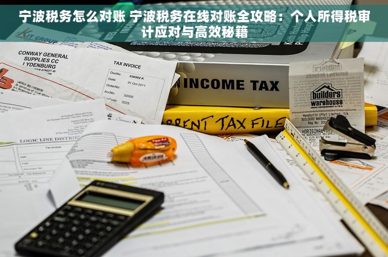 宁波税务怎么对账 宁波税务在线对账全攻略：个人所得税审计应对与高效秘籍