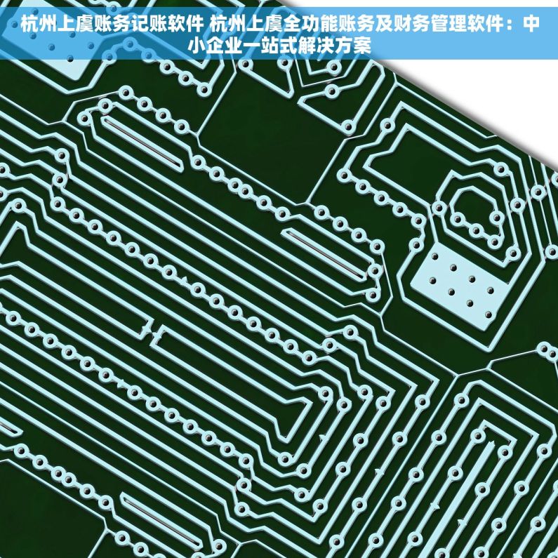 杭州上虞账务记账软件 杭州上虞全功能账务及财务管理软件：中小企业一站式解决方案