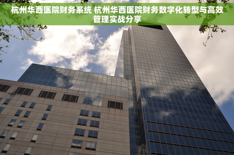 杭州华西医院财务系统 杭州华西医院财务数字化转型与高效管理实战分享