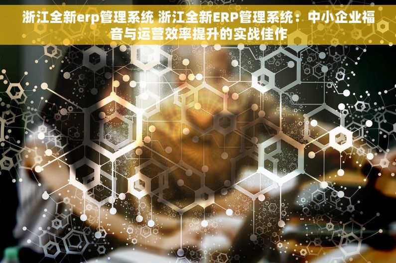 浙江全新erp管理系统 浙江全新ERP管理系统：中小企业福音与运营效率提升的实战佳作