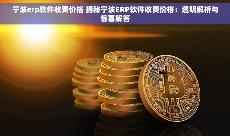 宁波erp软件收费价格 揭秘宁波ERP软件收费价格：透明解析与惊喜解答