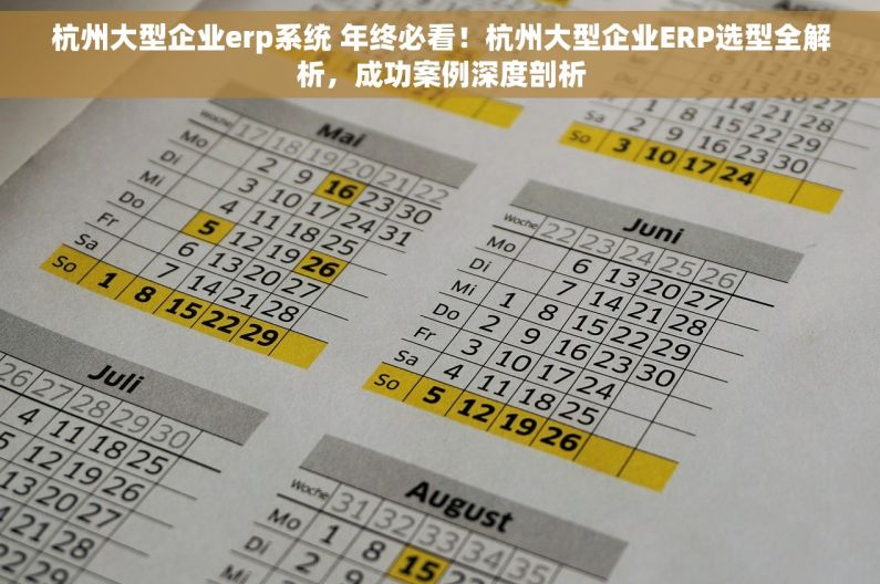 杭州大型企业erp系统 年终必看！杭州大型企业ERP选型全解析，成功案例深度剖析