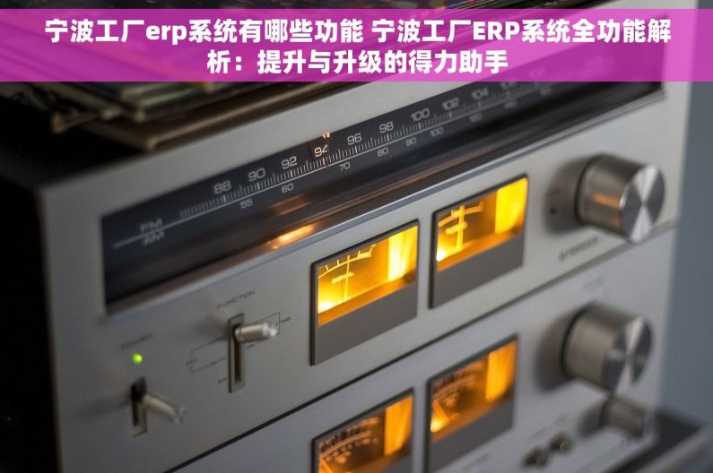 宁波工厂erp系统有哪些功能 宁波工厂ERP系统全功能解析：提升与升级的得力助手
