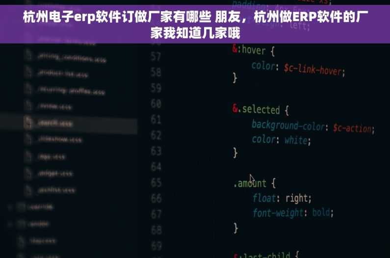 杭州电子erp软件订做厂家有哪些 朋友，杭州做ERP软件的厂家我知道几家哦