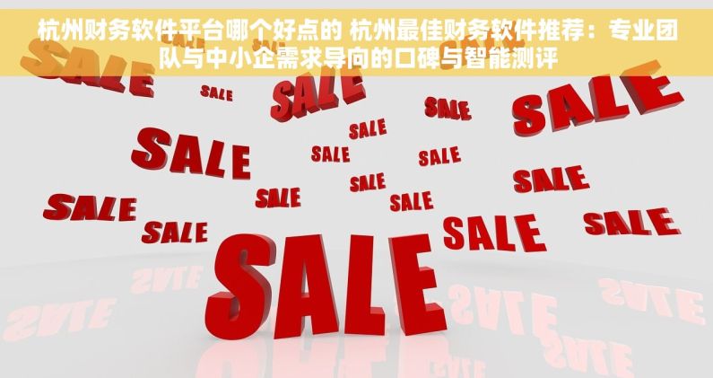 杭州财务软件平台哪个好点的 杭州最佳财务软件推荐：专业团队与中小企需求导向的口碑与智能测评