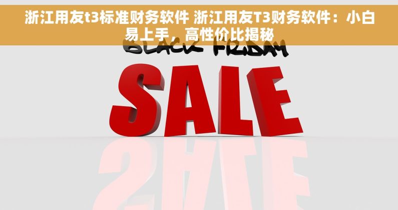 浙江用友t3标准财务软件 浙江用友T3财务软件：小白易上手，高性价比揭秘