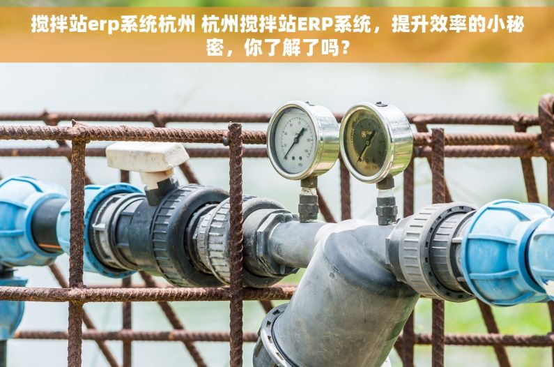 搅拌站erp系统杭州 杭州搅拌站ERP系统，提升效率的小秘密，你了解了吗？