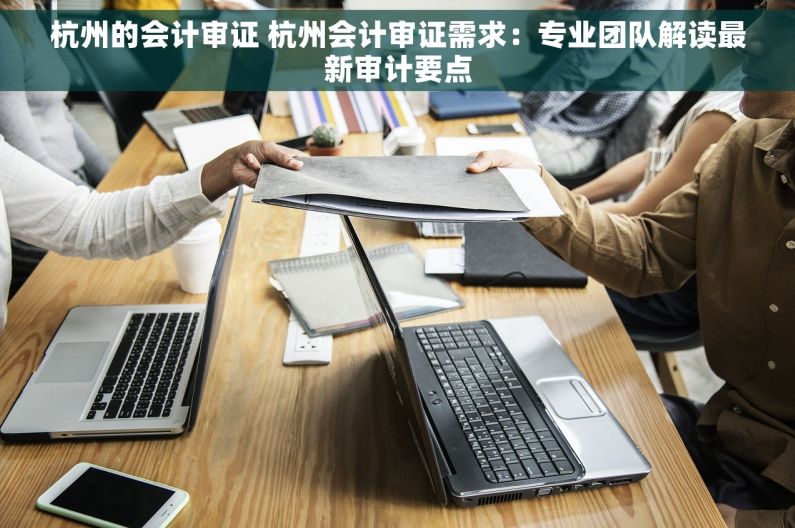 杭州的会计审证 杭州会计审证需求：专业团队解读最新审计要点