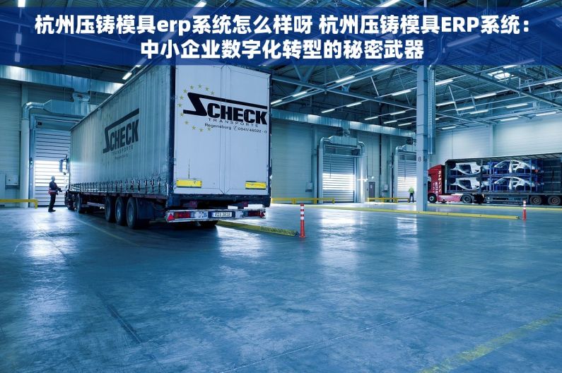杭州压铸模具erp系统怎么样呀 杭州压铸模具ERP系统：中小企业数字化转型的秘密武器