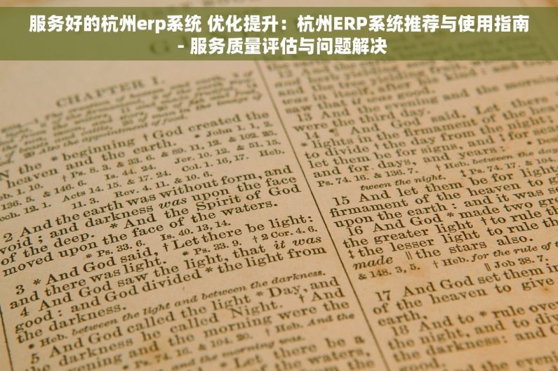 服务好的杭州erp系统 优化提升：杭州ERP系统推荐与使用指南 - 服务质量评估与问题解决