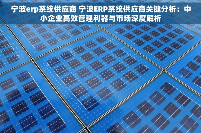 宁波erp系统供应商 宁波ERP系统供应商关键分析：中小企业高效管理利器与市场深度解析