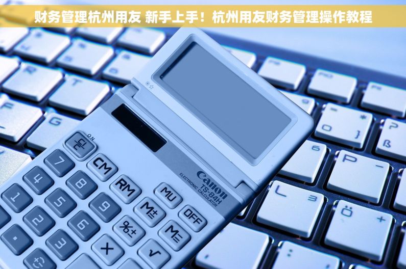 财务管理杭州用友 新手上手！杭州用友财务管理操作教程