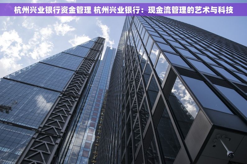 杭州兴业银行资金管理 杭州兴业银行：现金流管理的艺术与科技
