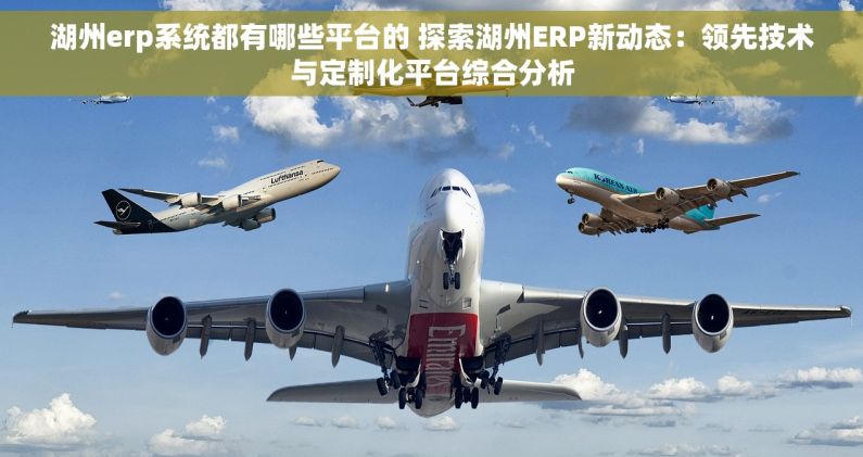 湖州erp系统都有哪些平台的 探索湖州ERP新动态：领先技术与定制化平台综合分析