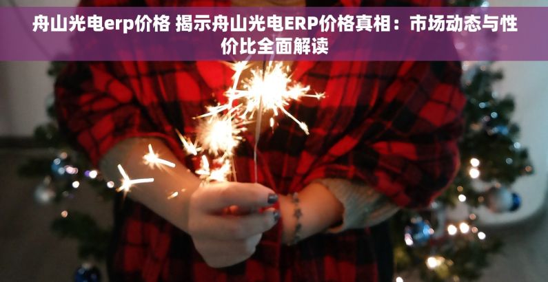 舟山光电erp价格 揭示舟山光电ERP价格真相：市场动态与性价比全面解读